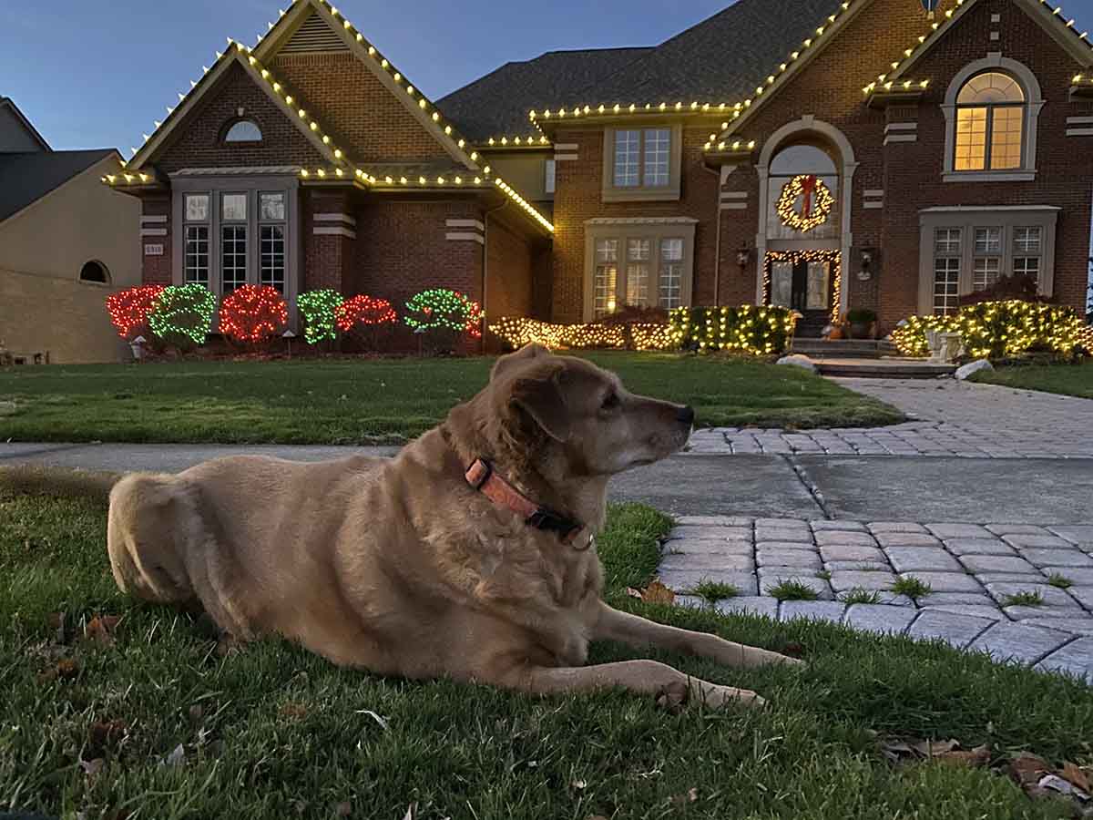 holiday photo
