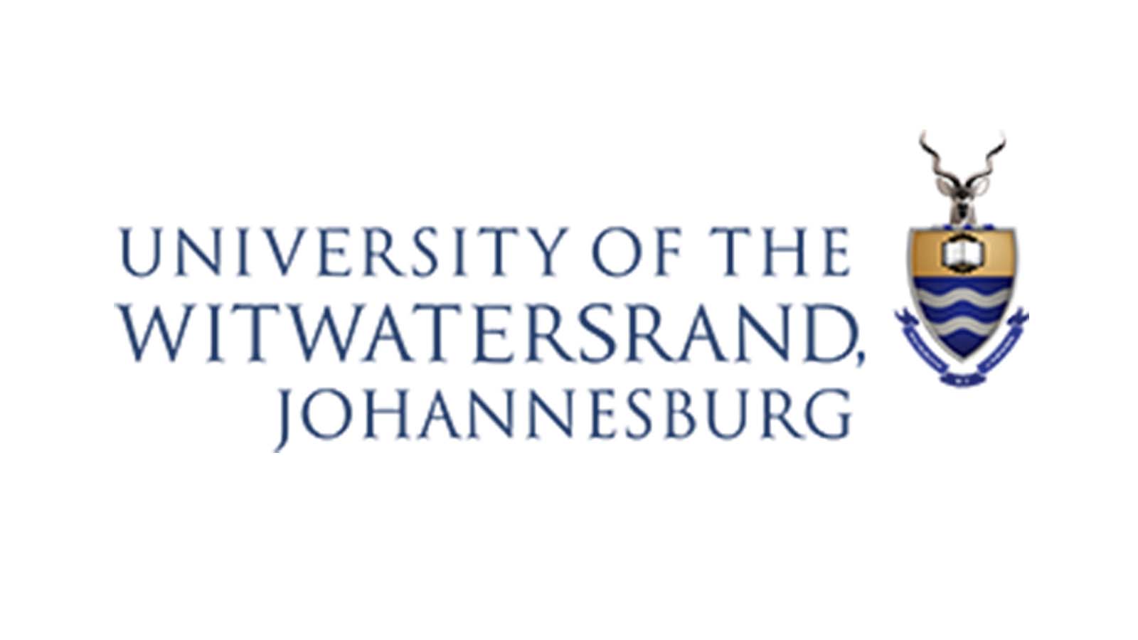 witwtersrand logo